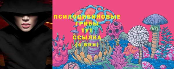 эйфоретик Пролетарск